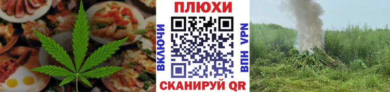 дарнет шоп  Сосновый Бор  Canna-Cookies марихуана 