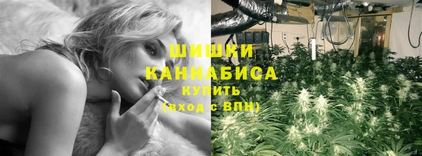 крисы Арсеньев