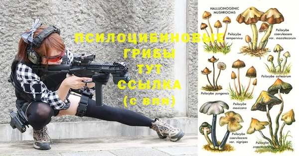 спиды Аркадак