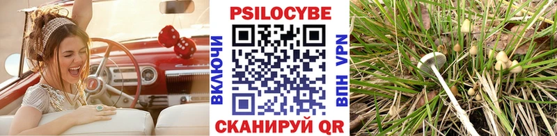 mega как войти  Сосновый Бор  Псилоцибиновые грибы GOLDEN TEACHER 